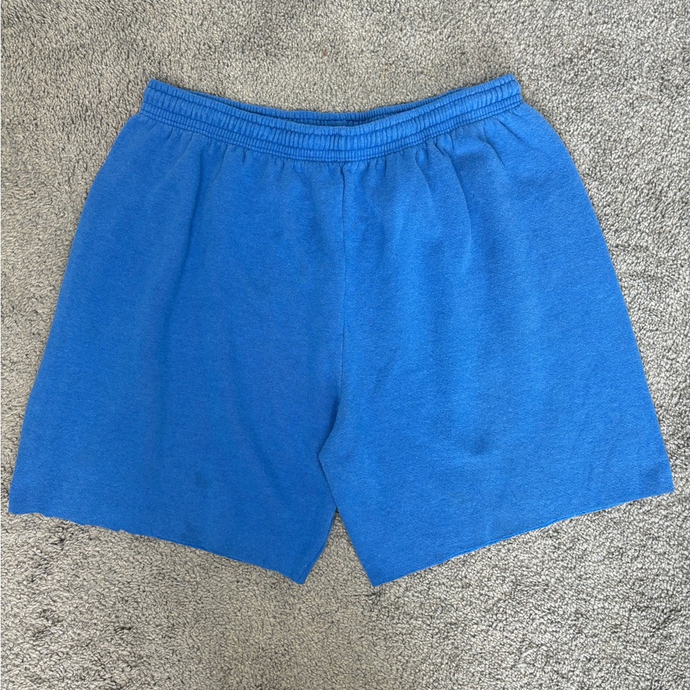Vintage 90s fruit of the loom blue‎ sweatshorts